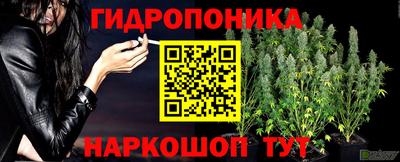 МДПВ Заволжье