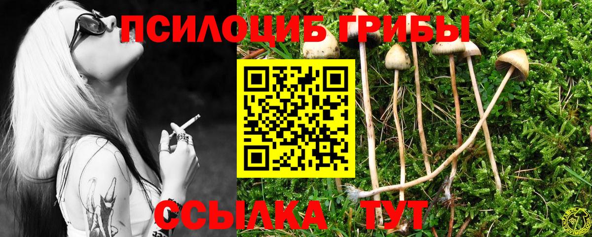 Галлюциногенные грибы прущие грибы Магнитогорск