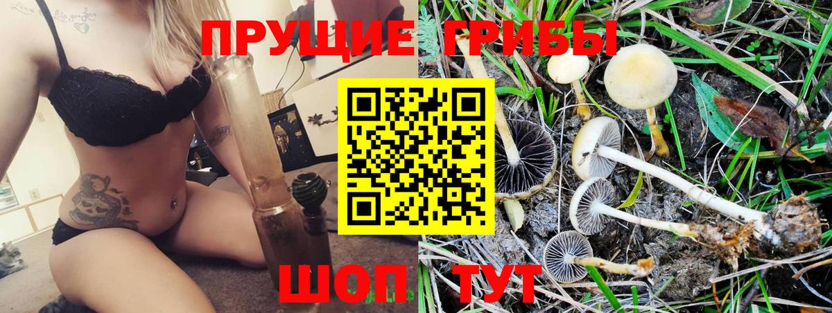 Псилоцибиновые грибы мицелий  Псилоцибиновые грибы MAGIC MUSHROOMS  Вход с VPN  Магнитогорск 